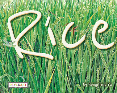 Cover Art for Rice