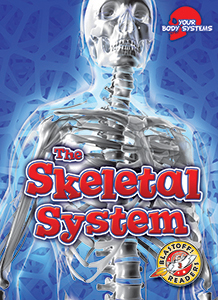 Cover Art for The Skeletal System