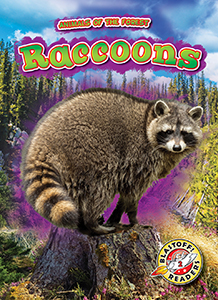 Cover Art for Raccoons
