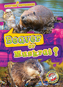 Cover Art for Beaver or Muskrat?