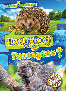 Cover Art for Hedgehog or Porcupine?