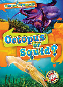 Cover Art for Octopus or Squid?