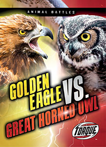 Cover Art for Golden Eagle vs. Great Horned Owl