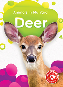 Cover Art for Deer