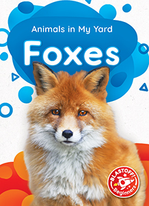 Cover Art for Foxes