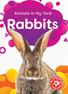 Cover Art for Rabbits