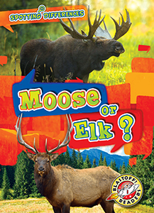 Cover Art for Moose or Elk?