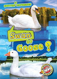 Cover Art for Swan or Goose?