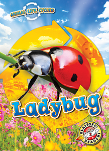 Cover Art for Animal Life Cycles: Ladybug