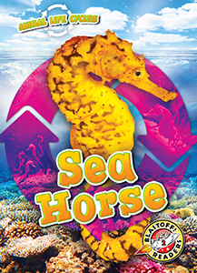 Cover Art for Animal Life Cycles: Sea Horse