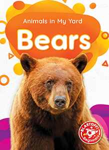 Cover Art for Bears
