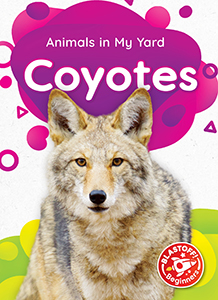Cover Art for Coyotes