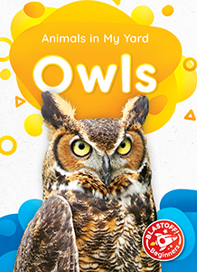 Cover Art for Owls