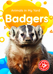 Cover Art for Badgers