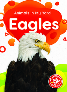 Cover Art for Eagles