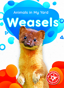 Cover Art for Weasels