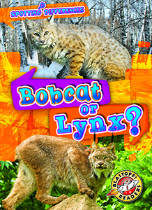 Cover Art for Bobcat or Lynx?