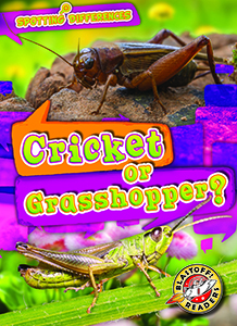 Cover Art for Cricket or Grasshopper?