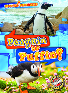 Cover Art for Penguin or Puffin?