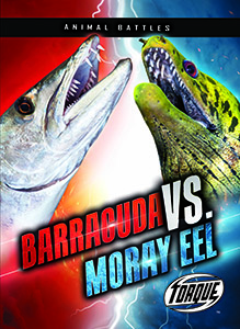 Cover Art for Barracuda vs. Moray Eel