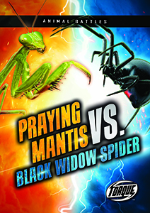 Cover Art for Praying Mantis vs. Black Widow Spider