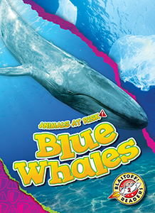 Cover Art for Blue Whales