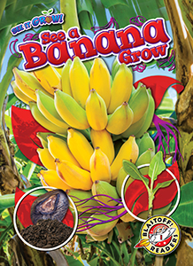Cover Art for See a Banana Grow