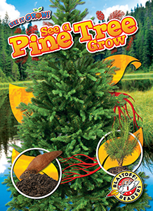 Cover Art for See a Pine Tree Grow