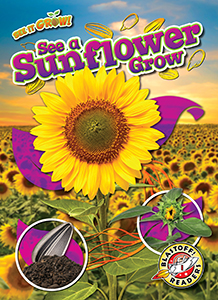 Cover Art for See a Sunflower Grow