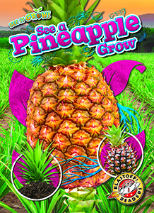 Cover Art for See a Pineapple Grow