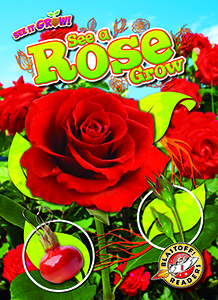 Cover Art for See a Rose Grow