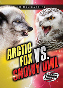 Cover Art for Arctic Fox vs. Snowy Owl