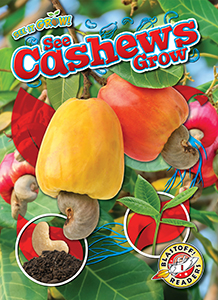 Cover Art for See Cashews Grow