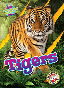 Cover Art for Tigers