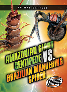 Cover Art for Amazonian Giant Centipede vs. Brazilian Wandering Spider