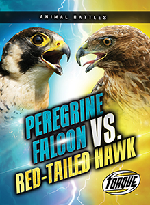 Cover Art for Peregrine Falcon vs. Red-tailed Hawk