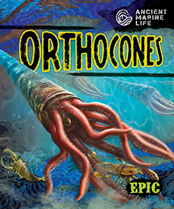 Cover Art for Orthocones