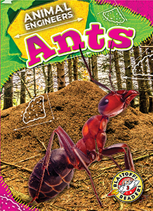 Cover Art for Ants