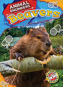 Cover Art for Beavers