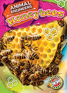 Cover Art for Honeybees