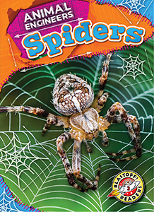 Cover Art for Spiders