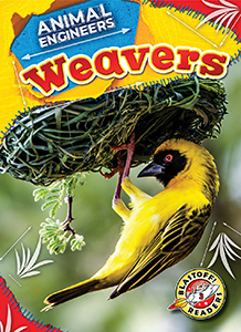 Cover Art for Weavers
