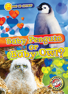 Cover Art for Baby Penguin or Baby Owl?