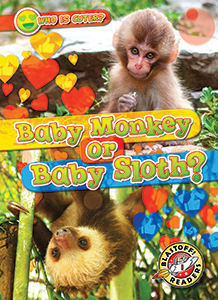 Cover Art for Baby Monkey or Baby Sloth?