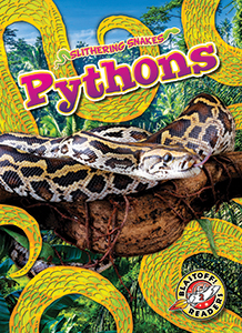 Cover Art for Pythons