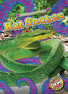 Cover Art for Rat Snakes