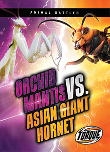 Cover Art for Orchid Mantis vs. Asian Giant Hornet