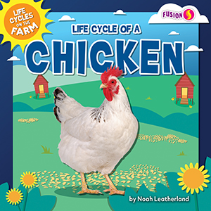 Cover Art for Life Cycle of a Chicken
