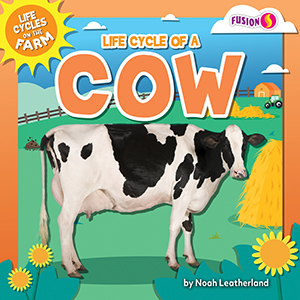 Cover Art for Life Cycle of a Cow