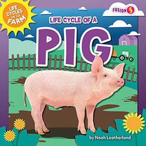 Cover Art for Life Cycle of a Pig